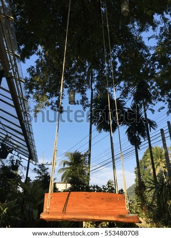 Wooden Swing & Hang Chair Tree with a swing