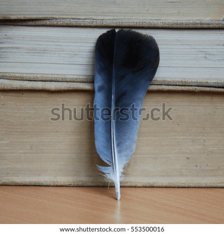 Blue feather with books background