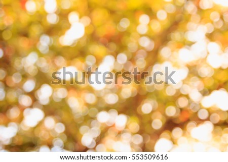 Beautiful nature orange and abstract bokeh background