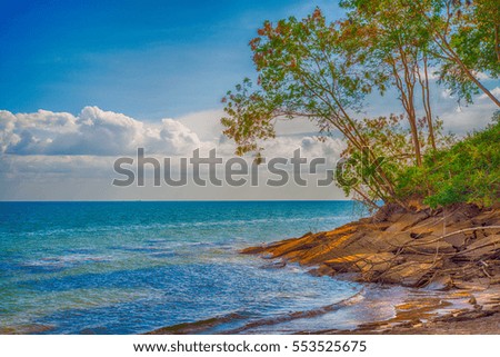 Tropical beach with blue sky and trees.