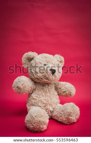 Teddy Bear toy alone with red background