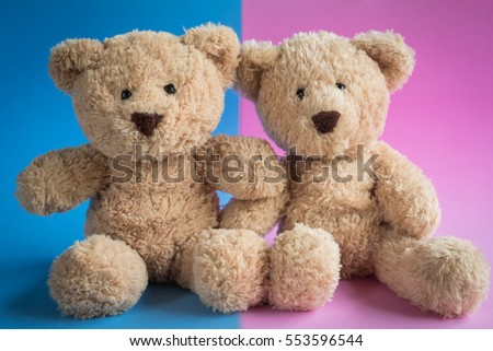 Teddy Bear toy alone with blue and pink background