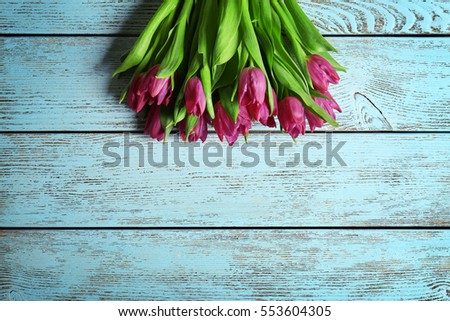 Purple beautiful tulips on color wooden background