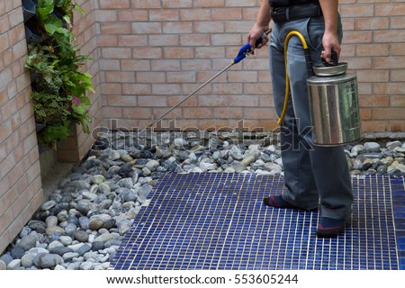 The Exterminator,Technicians compressed chemicals into the soil around the area. To break the cycle termite queens. Selective focus. Royalty-Free Stock Photo #553605244