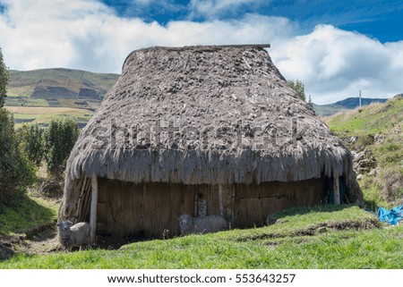 Andean sheep underneath traditional straw house