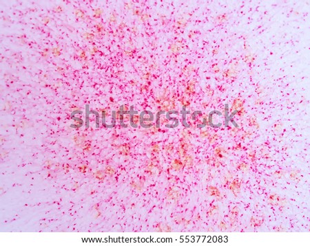 Abstract colorful explosion and and dissolving background