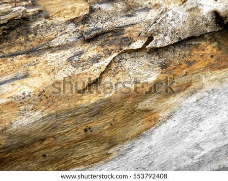 wooden background, wood texture, wooden board,textural background