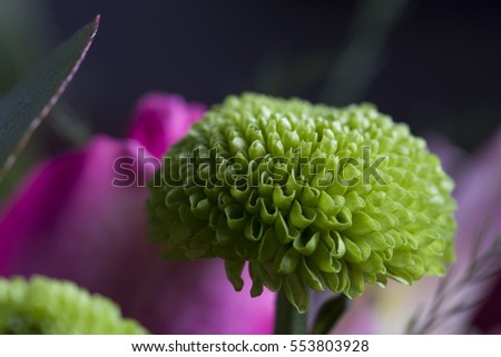 Macro green flower