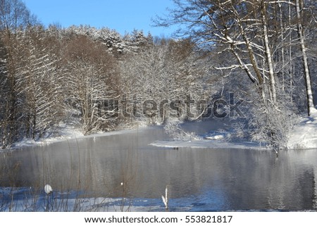 winter river with cold water and a blue sky reflecting in it against the backdrop of the beautiful forest of trees covered with frost white fluffy 