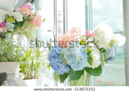 Bright picture of blue, white and pink Hydrangea flowers in a glass vase