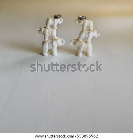 Wedding rings on the white ceramic elephants