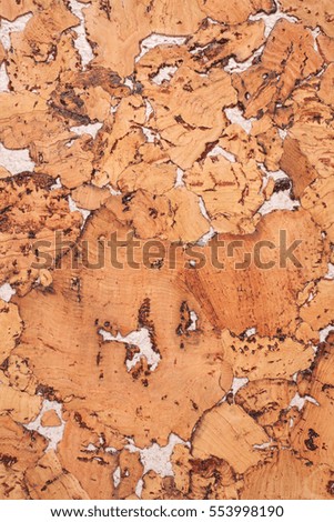 Close-up background and texture of cork board wood surface