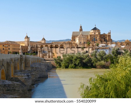 Cordova, Spain: Picture of the bridge and the cathedral