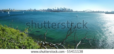 panorama photo of Sydney scenery, CBD, Sydney Tower and Harbor bridge visible