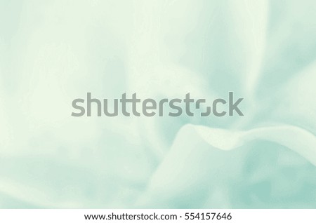 abstract nature flower background
