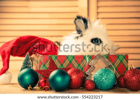 white decorative rabbit Santa in a Christmas box, selective focus, the image is tinted