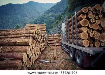 Stack pine log waiting transportation Royalty-Free Stock Photo #554261926