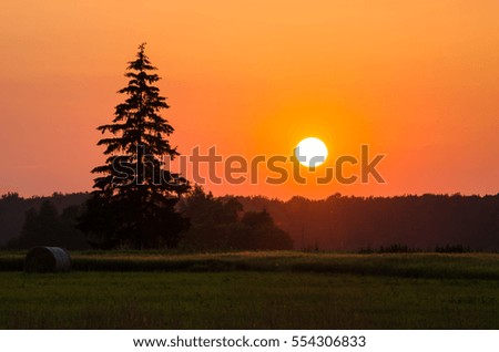 Summer sunset