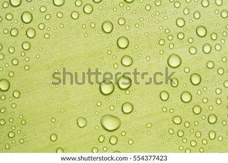 Closeup image of Water drops on green banana leaf.