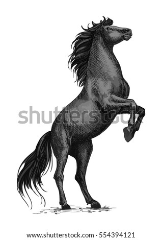 Rearing horse isolated sketch. Black stallion horse of arabian breed stands up on hind legs. Equestrian sporting competition symbol, horse racing badge, t-shirt print design