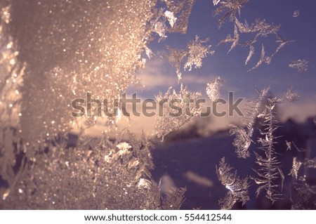 Winter magic and beauty frozen on the window. The revival of the winter fairy tale.