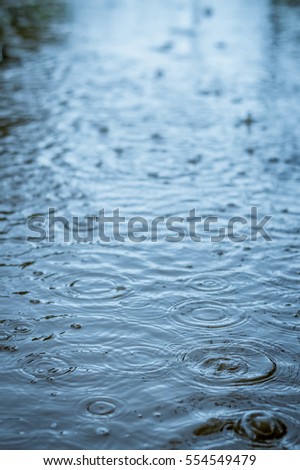 raindrops falling in a puddle background