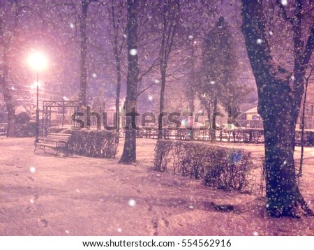 Winter city Park Night scene