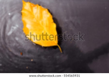 Bright colourful autumn leaf floating in water with ripples Out of focus.