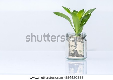 Portrait of former U.S. President Andrew Jackson on the twenty dollars in jar plant as money concept  business  on white background.
