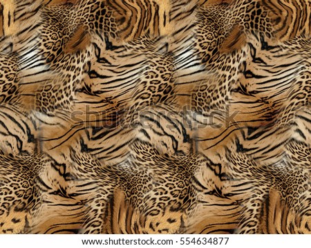 tiger and leopard skin background Royalty-Free Stock Photo #554634877