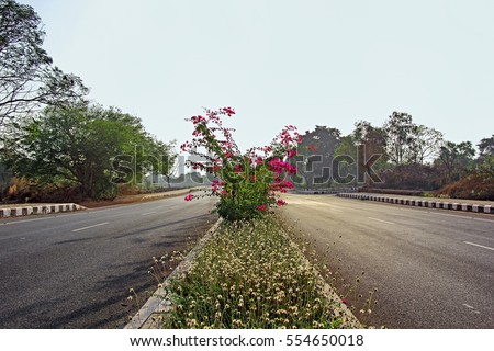 Highway lanes and median with ornamental plant growth and flower beds shining in morning sun Royalty-Free Stock Photo #554650018