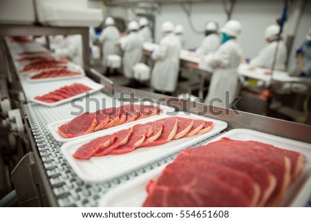 Slices of thin meat cutlets on a conveyor belt for packaging at industrial meat factory plant Royalty-Free Stock Photo #554651608