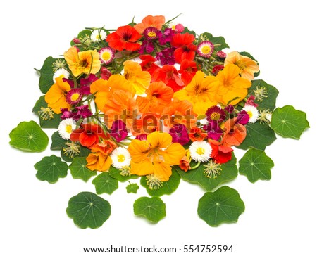 Wedding card. The flat layout, top view. Flowers of nasturtium, carnations and marguerites isolated on a white background