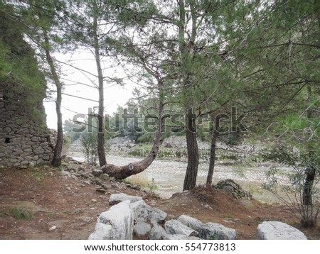 Olympos ancient city ruins in Turkey. Asia Minor