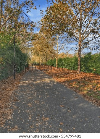 Nature walk way in autumn