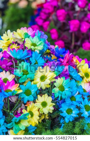 Beautiful little flowers in garden