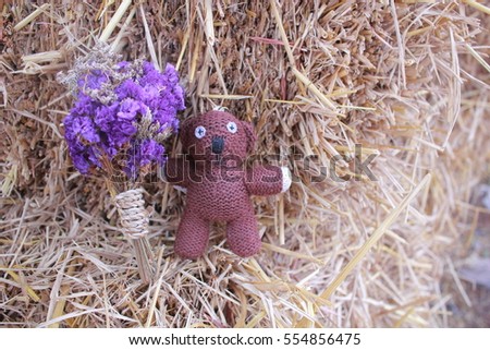 a bear doll with bouquet and the old grass, valentine 