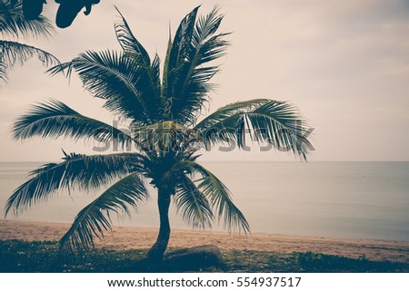 Vintage tone of Coconut palms on the beach and sky background