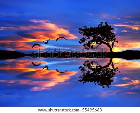 sky and clouds of color in the lake Royalty-Free Stock Photo #55495663