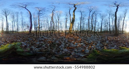 360 degrees spherical panorama of evening sun in autumn forest in germany