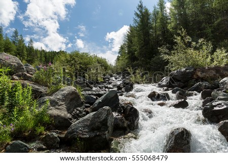 a small rapid mountain river
