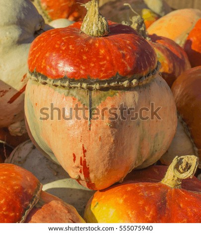 red decorative pumpkins background