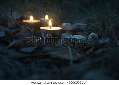 Beautiful halloween composition with runes, tarot, candles and skull on the grass in dark autumn forest. Ritual
