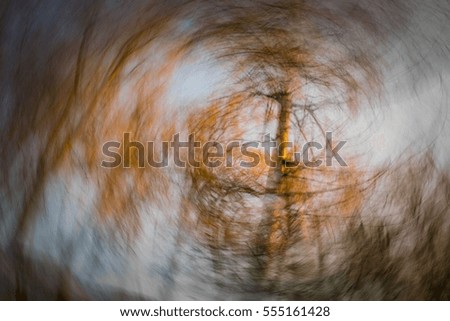 Park abstraction. Long exposure abstraction with movement effect.