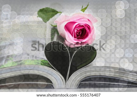Rose and book with opened pages of heart shape on bogey light background