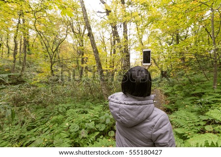 Back rear view of woman taking photo in forest