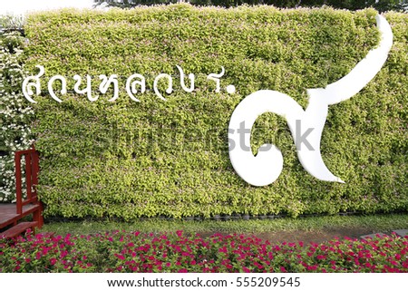 Signage font name is "King Rama IX  Park" with Green wall  in the garden for  Landscape Used or background Used , at King Rama IX Public Park, Bangkok,Thailand