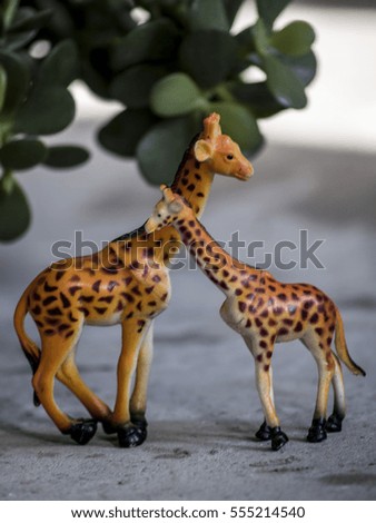 Small cute giraffe who loves his mother
