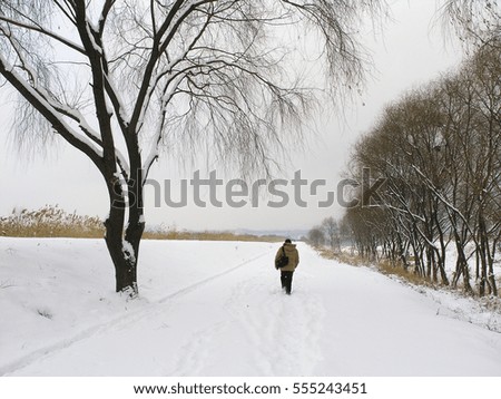 A path across a field of snow