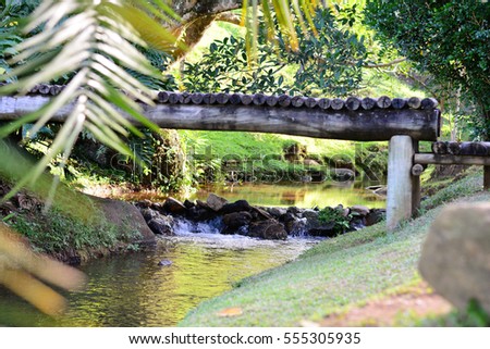 Creek and the wooden bridge